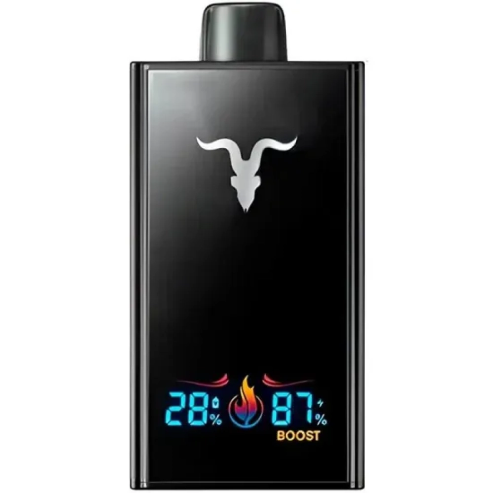 IGNITE V300 30000 PUFFS MINTY MELON