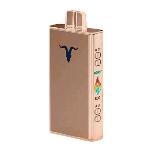 IGNITE V250 ROSE GOLD 25000 PUFFS ALOE GRAPE