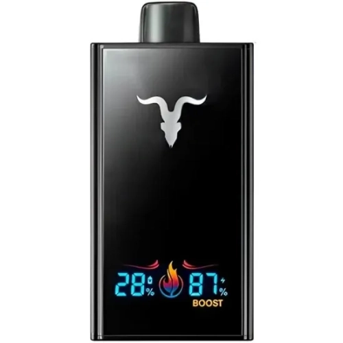 IGNITE V300 30000 PUFFS ICY MINT